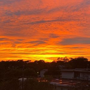 Meet your Posher, Jesse